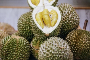 Trung Quốc và Malaysia đi đến những bước cuối trong thỏa thuận xuất khẩu sầu riêng