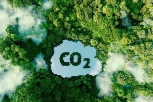 Dư 5,9 triệu tấn carbon, Bộ Nông nghiệp muốn bán đấu giá