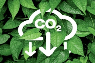 Việt Nam tiến gần đến việc vận hành thị trường carbon