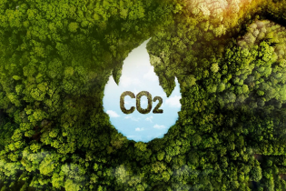 Sẽ ban hành sổ tay về tín chỉ carbon rừng
