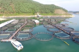 Phục hồi kinh tế sau thiên tai nhìn từ câu chuyện của Yên Bái