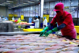 Doanh nghiệp gỗ, thủy sản áp lực trước mức thuế mới của Mỹ