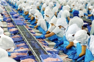 Ngành thủy sản cần bình tĩnh, tránh lo sợ ảnh hưởng đến sản xuất