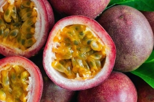 Việt Nam-Trung Quốc ký kết thêm 4 nghị định thư nông nghiệp