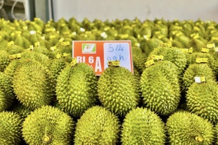 Siết chặt mã số vùng trồng, cơ sở đóng gói sầu riêng bằng thông tư mới