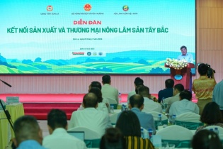 “Ai làm chủ vùng nguyên liệu sẽ làm chủ được chuỗi giá trị nông sản”