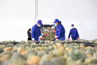 Tầm nhìn mới đưa nông, lâm sản Tây Bắc cất cánh