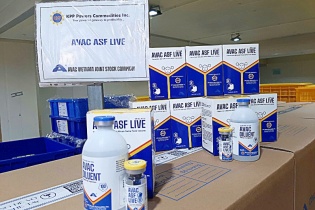 Philippines nhập khẩu thêm 340.000 liều vaccine thú y của Việt Nam