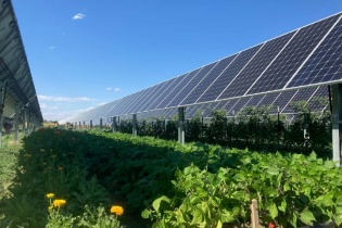 Tìm định nghĩa về "điện mặt trời nông nghiệp" qua dự án Agri-PV