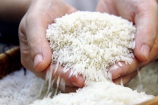 Gạo Việt ổn định trước biến động, “dân cứ có gạo là doanh nghiệp mua”