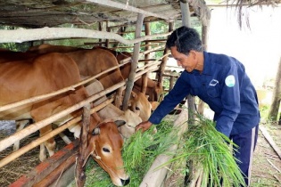 “Đòn bẩy tài chính” cho các hộ mới thoát nghèo