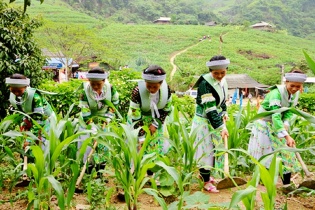 Đầu tư 360.000 tỷ đồng cho giảm nghèo bền vững giai đoạn 2026 - 2030