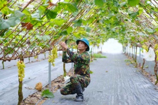 Kỳ tích giảm nghèo ở Quảng Ninh
