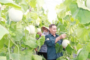 Việt Nam làm chủ nhiều công nghệ sinh học tiên tiến trong nông nghiệp