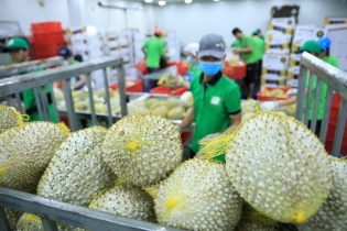 Xuất khẩu nông nghiệp khởi sắc ngay từ đầu năm