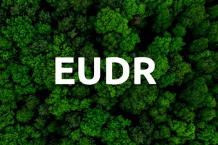 Nới lỏng yêu cầu với lô rừng dưới 4 ha, tạo đà cho gỗ Việt vào EU