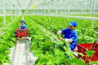Kết nối kinh tế vườn với không gian phát triển mới
