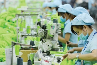 Bồi đắp năng lực để doanh nghiệp Việt bứt tốc trong “chuyển đổi kép”