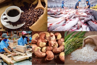 Đạt hơn 23 tỷ USD, xuất khẩu nông lâm thủy sản vẫn lộ dấu hiệu “chững nhịp”