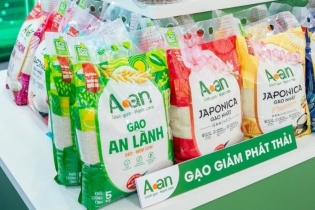 Gạo phát thải thấp tăng tốc “xuất ngoại”