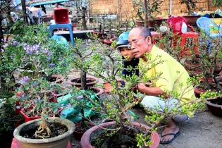 Hoa Tết “đọ sắc” dọc bến Bình Đông