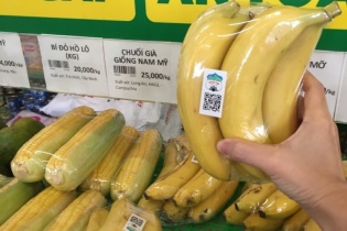Bầu Đức đặt mục tiêu có hơn 3.500 tỷ đồng doanh thu từ chuối trong 2019