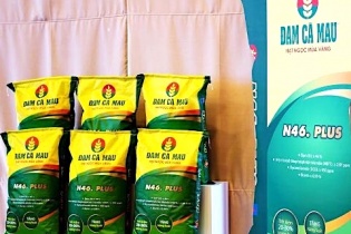 Đạm Cà Mau dự kiến lợi nhuận sau thuế thấp hơn 64% so với năm 2018