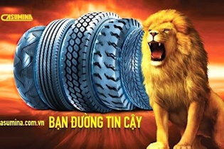 Casumina đặt kế hoạch lãi năm 2019 tăng 400% so với năm ngoái