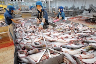 Trung Quốc tiếp tục là thị trường xuất khẩu lớn nhất của cá tra Việt Nam