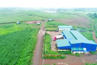 3 năm bán rơm hữu cơ cho Vinamilk, Hoa Nắng có thể thu về 1 triệu USD