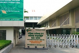 TP.HCM: Lợi nhuận 46 doanh nghiệp vốn Nhà nước đạt trên 7.500 tỷ đồng