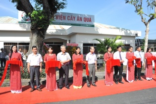 Ra mắt Bệnh viện Cây ăn quả tại Tiền Giang
