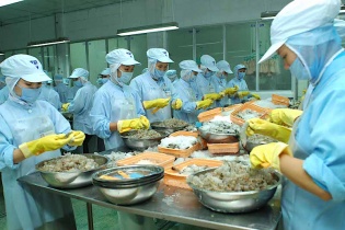VASEP: Doanh nghiệp thuỷ sản đang thiếu kho lạnh trầm trọng