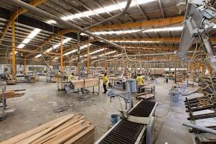 51% doanh nghiệp gỗ đã thu hẹp quy mô sản xuất