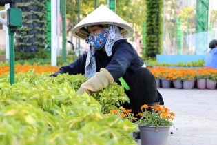 Gần 80.000 người lao động nộp hồ sơ hưởng bảo hiểm thất nghiệp