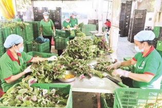 Nhiều hợp tác xã công nghiệp, tiểu thủ công nghiệp tại TP.HCM hoạt động không hiệu quả