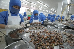 Quy định kiểm dịch các sản phẩm thuỷ sản chế biến từ động vật chưa phù hợp