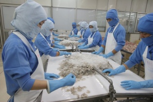 Giá trị xuất khẩu tôm sang EU có thể tăng 2 con số trong quý I/2021