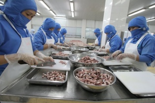 Kiến nghị xem xét lại việc phạt chậm nộp thuế giá trị gia tăng khi có lô hàng xuất nhẩu bị trả về