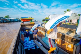 Cá tra Nam Việt kỳ vọng trở về vị trí dẫn đầu ngành
