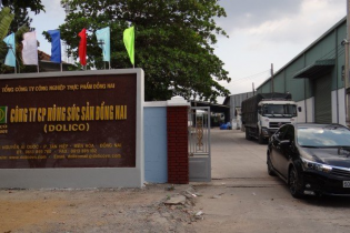 Lãi lớn từ bán heo thịt, Dolico tăng mức chia cổ tức lên gần 123%