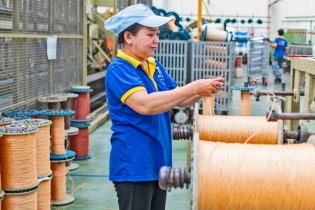 Doanh nghiệp sở hữu thương hiệu "lạ" Con Gà và Hải Mã thu hơn 221 tỷ đồng trong nửa đầu năm