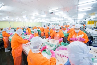 Doanh nghiệp ngành tôm, cá tra nỗ lực phục hồi từ tháng 10