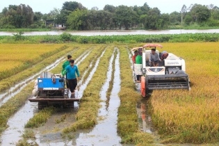 Tập đoàn Lộc Trời chuyển nhượng tất cả vốn góp tại 5 công ty con