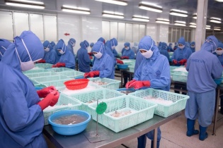 Hàng loạt lãnh đạo tại Thuỷ sản Sao Ta đăng ký bán gần 893.000 cổ phiếu