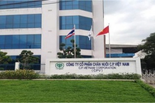 C.P tiếp tục đăng ký mua cổ phiếu Sao Ta để nâng tỷ lệ sở hữu lên 24,9%