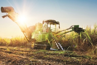 Bình quân mỗi tháng, Mía đường Thành Thành Công lãi ròng hơn 21 tỷ đồng