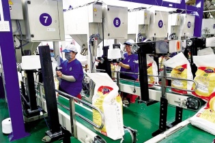 Đang đà tăng giá, gạo Trung An có thêm cổ đông mua hơn 1 triệu cổ phiếu