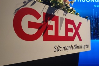 GELEX phát hành hơn 70,3 triệu cổ phiếu để trả cổ tức với tỷ lệ 100:9