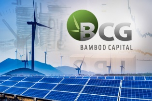 Bamboo Capital báo lãi tăng 265%, bắt đầu ghi nhận lợi nhuận từ lĩnh vực bảo hiểm